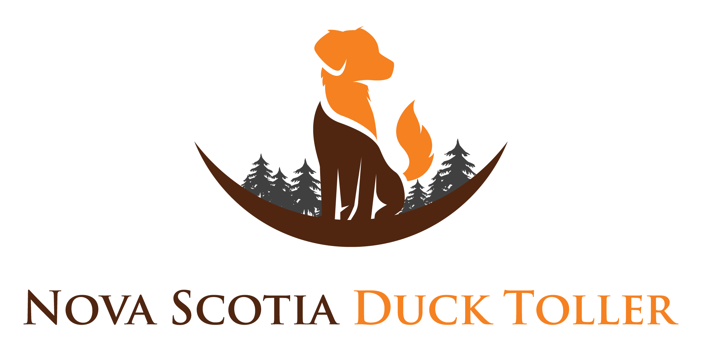 Nova Scotia Duck Tolling Retriever