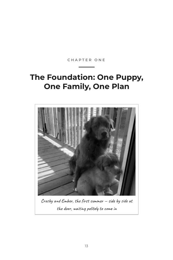 Chapter One opening page with photo of Crosby and Ember as puppies