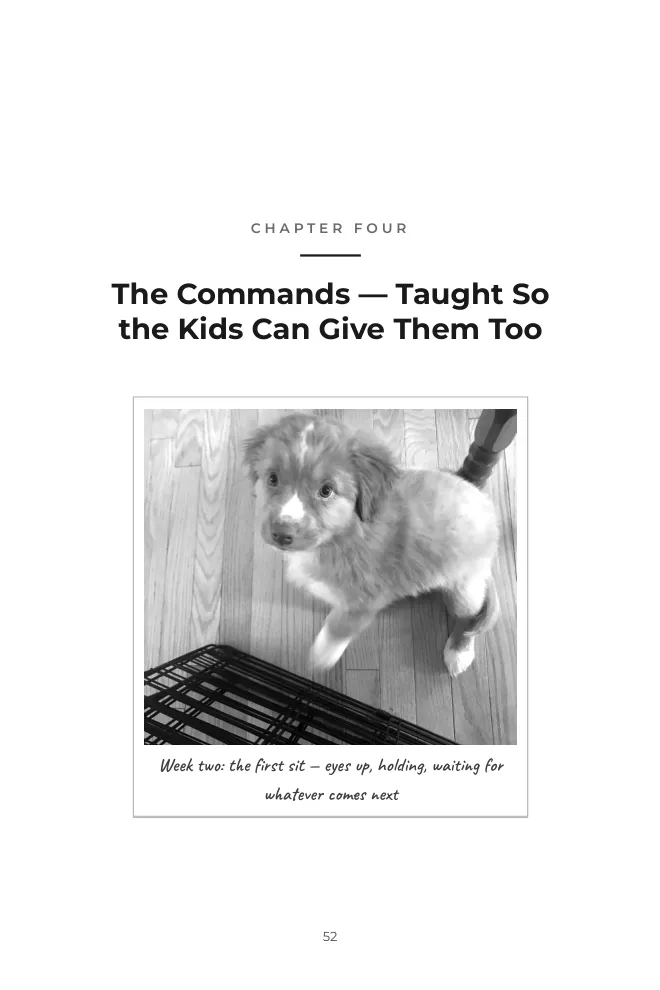 Chapter Four page showing puppy Ember's first sit